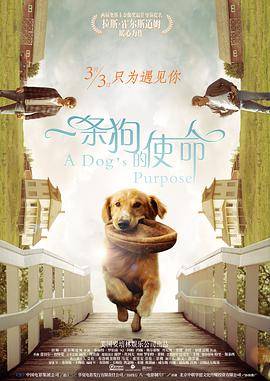 一条狗的使命封面图