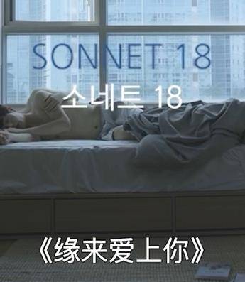 缘来爱上你封面图