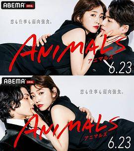 ANIMALS封面图