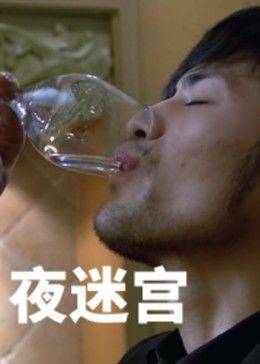 夜迷宫封面图