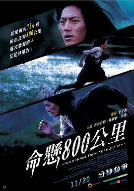 命悬800公里封面图