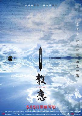 迷途追凶封面图
