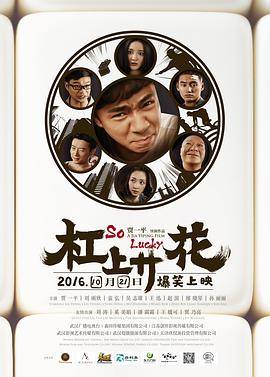 杠上开花封面图