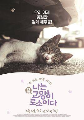 我是猫封面图
