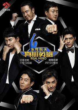 真心英雄2015封面图
