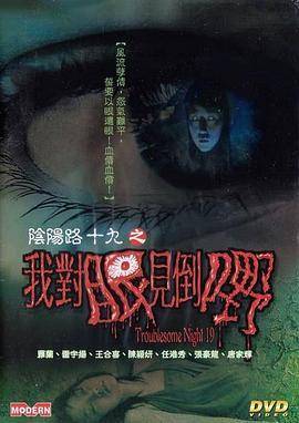 阴阳路19：我对眼见到嘢封面图