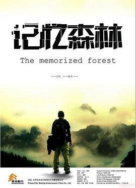 记忆森林封面图