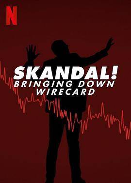 金融丑闻：揭发Wirecard诈骗案封面图