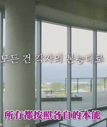 按照各自的本能封面图