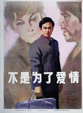 不是为了爱情封面图