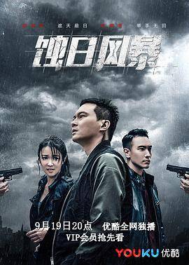 蚀日风暴国语封面图