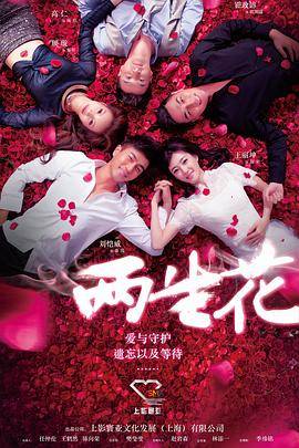 两生花封面图