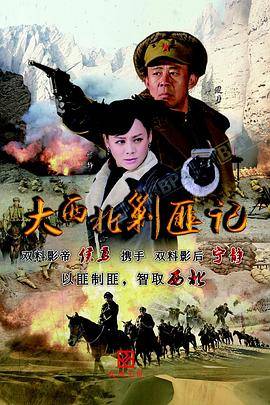 大西北剿匪记封面图