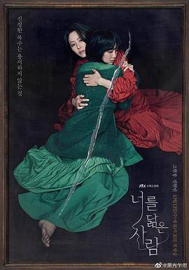 你的倒影封面图