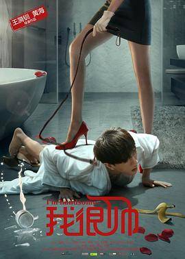 我很帅封面图
