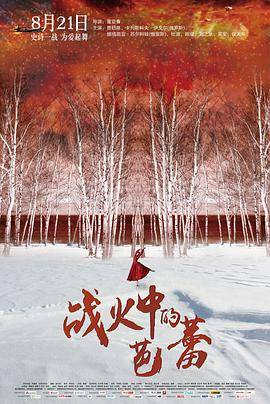 战火中的芭蕾封面图