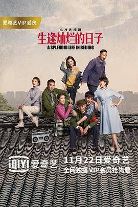 生逢灿烂的日子封面图