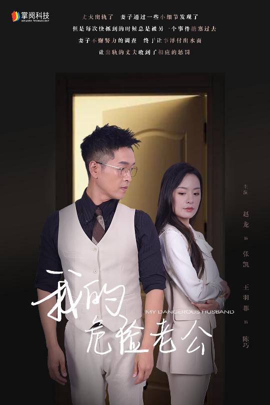 我的危险老公封面图