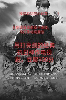 地雷战2015封面图