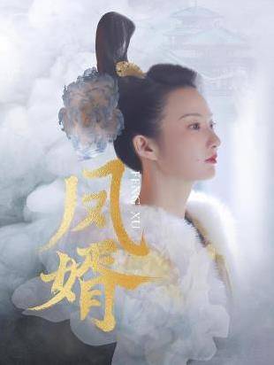 凤婿封面图