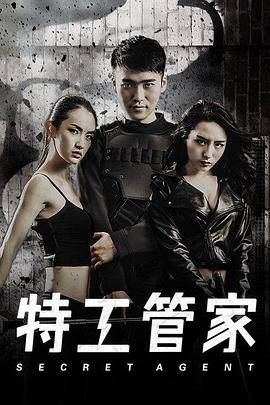 特工管家封面图