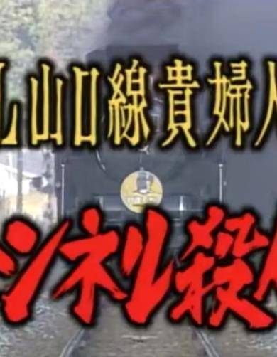 SL山口线贵妇人号隧道杀人封面图