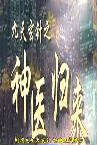 九天玄针之神医归来封面图