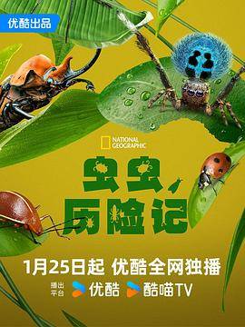 虫虫历险记封面图