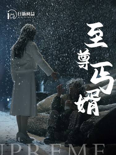 至尊丐婿封面图