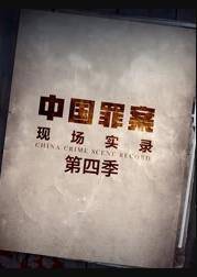 罪案现场实录第四季封面图