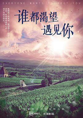 谁都渴望遇见你封面图