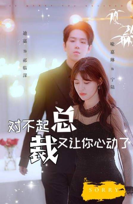 对不起总裁又让你心动了封面图