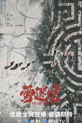 雪迷宫封面图