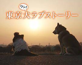 东京犬爱情故事封面图