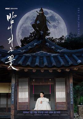 夜晚开的花封面图