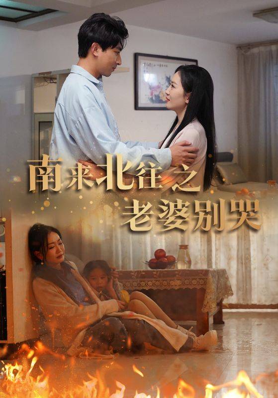 南来北往之老婆别哭封面图