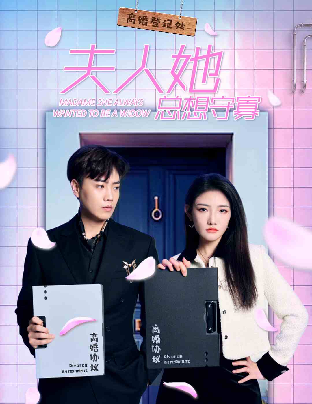 夫人她总想守寡封面图