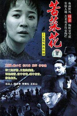 苦菜花2004封面图
