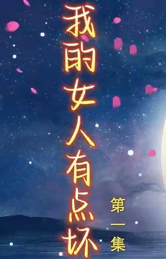 新我的女人有点坏封面图