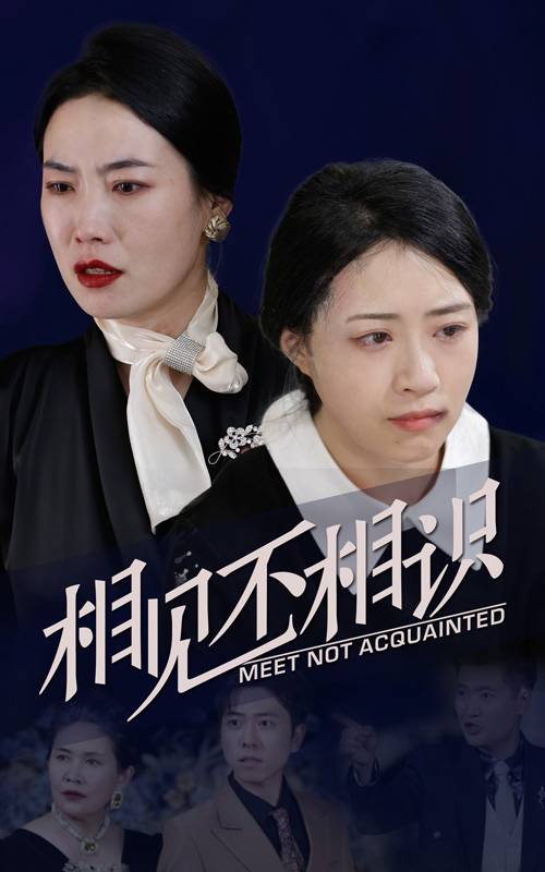 相见不相识封面图