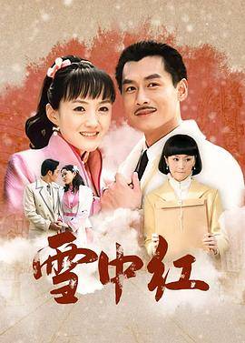 雪中红封面图