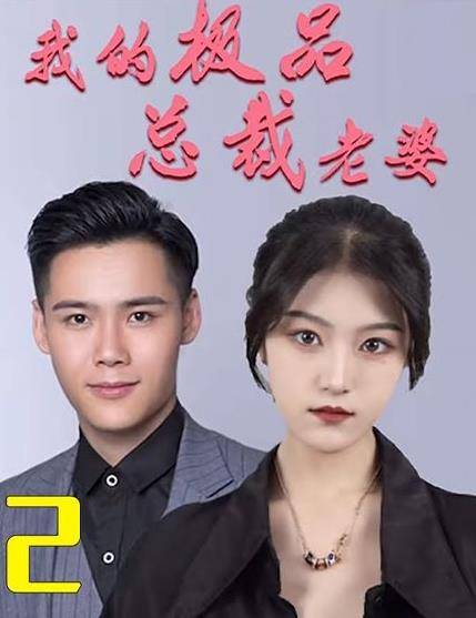 我的极品总裁老婆封面图