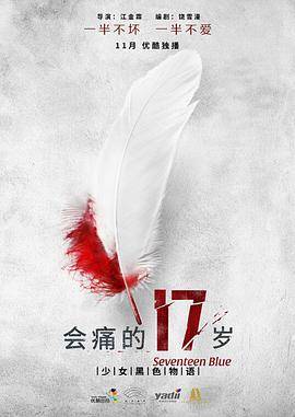 会痛的17岁封面图