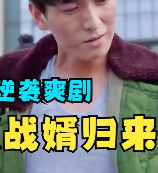 战婿归来封面图