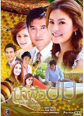 苦蜜2009封面图