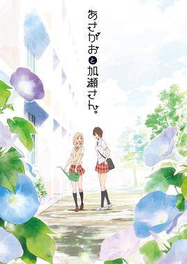 牵牛花与加濑同学。封面图