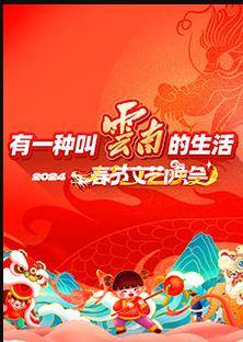 202云南省春节文艺晚会封面图