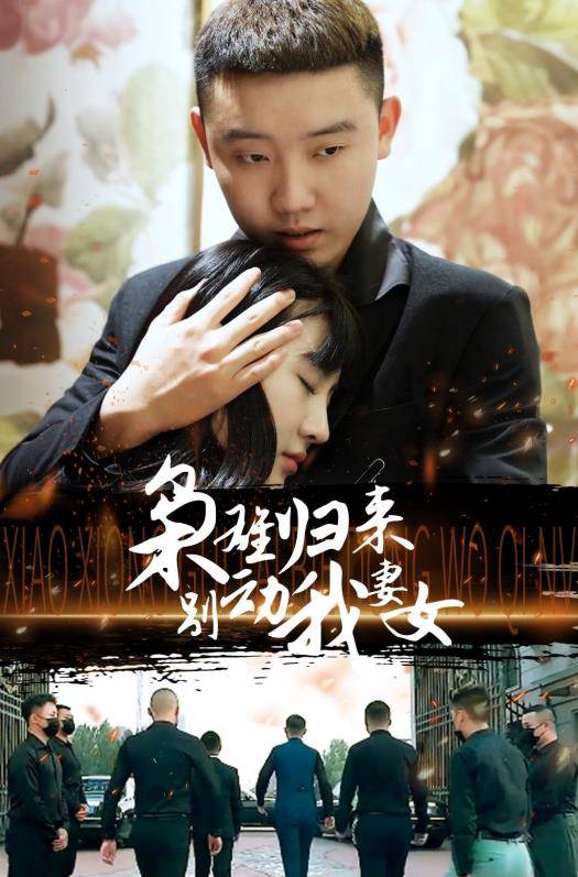 枭雄归来别动我妻女封面图