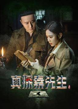 真探秦先生封面图