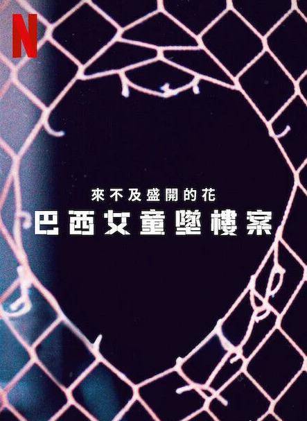 来不及盛开的花：巴西女童坠楼案封面图